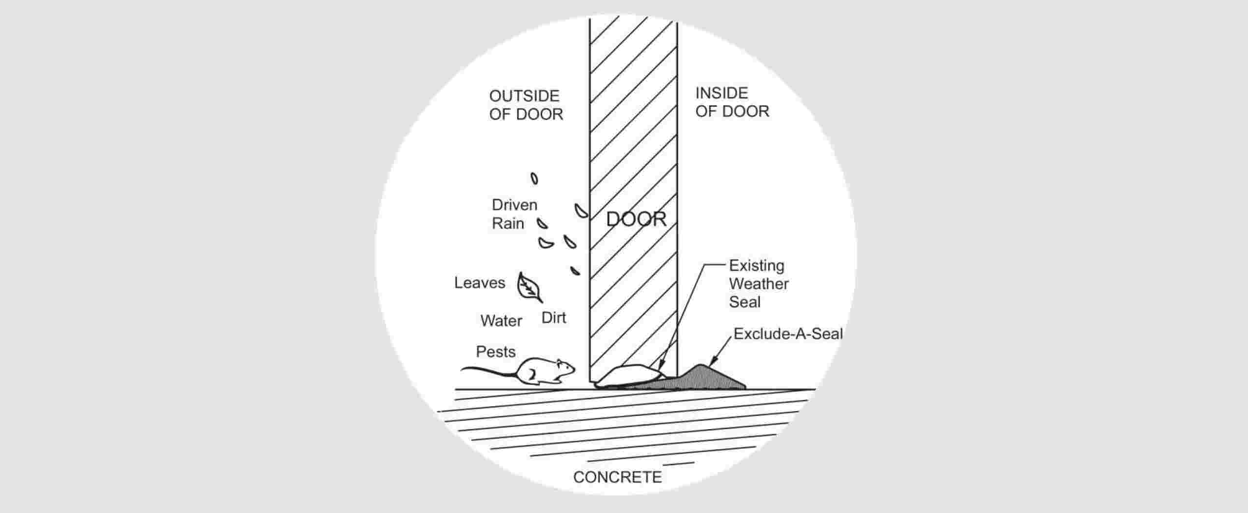 Exclude-A-Seal