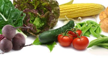 September in the Garden