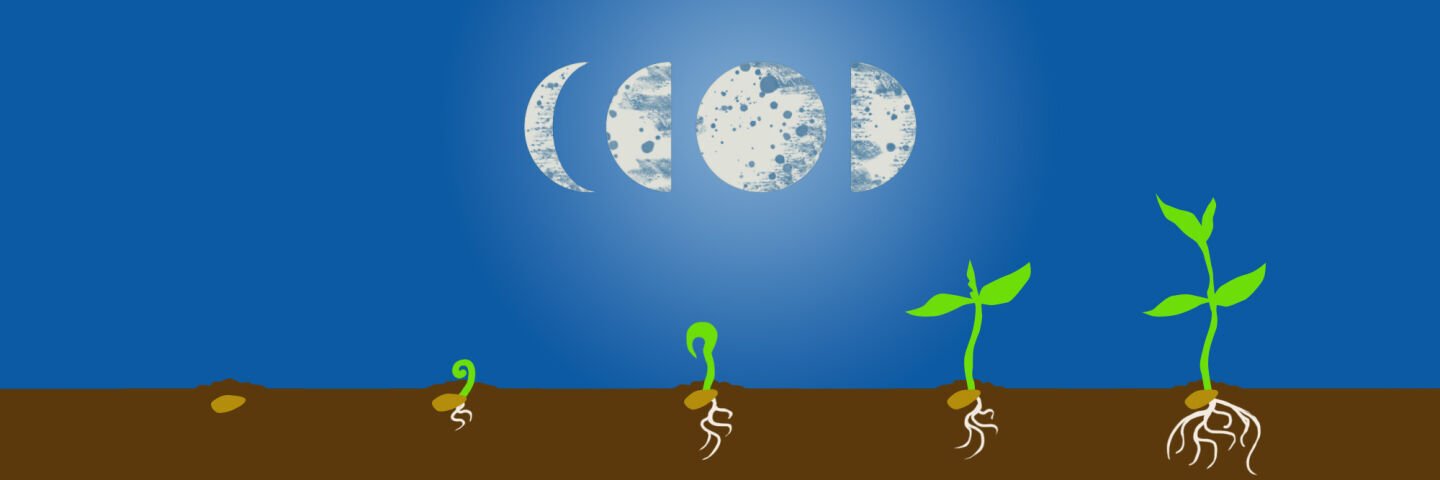 Gardening by the moon